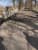 88b77044-cd92-493d-8262-b07f07d50597